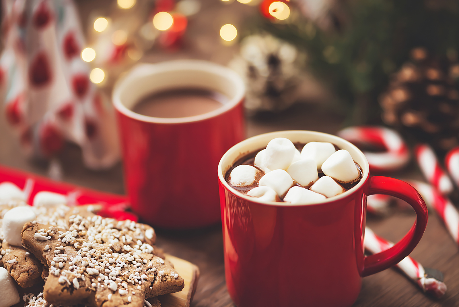 two red hot cocoa mugs one with mini marshmallows floating on top