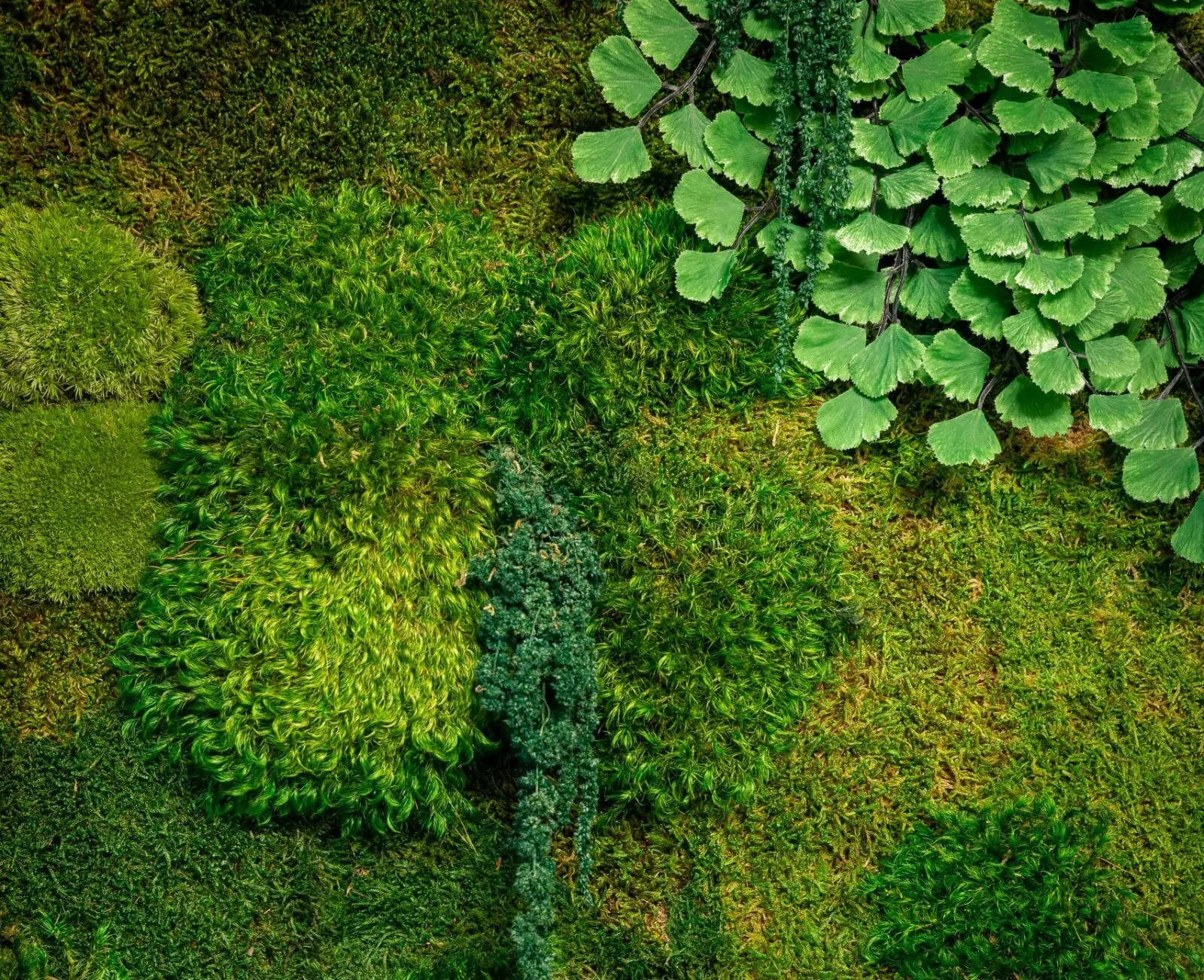 Green living wall installation at Shift Workspaces