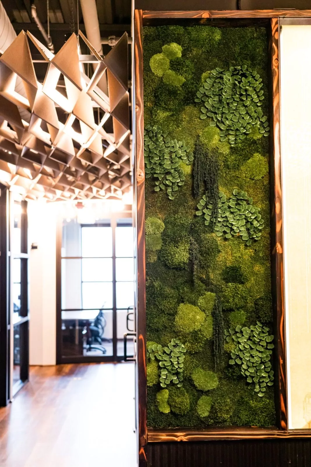 Lush, vibrant living wall at Shift Workspaces bringing nature indoors to enhance the office ambiance